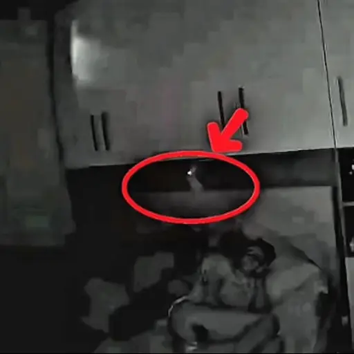 Labubu intenta atacar a un niño. ,Captura de pantalla video TikTok.