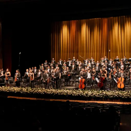 Orquesta Sinfónica Nacional ,Instagram