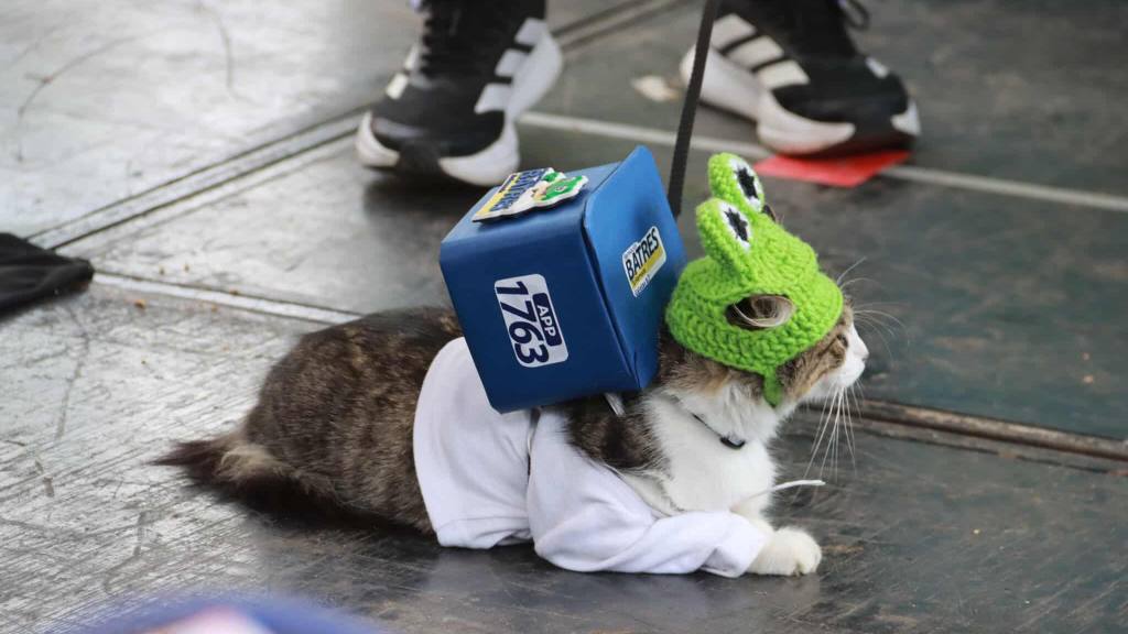 Farmascota lleva salud, bienestar y calidad a los hogares | Álex Meoño