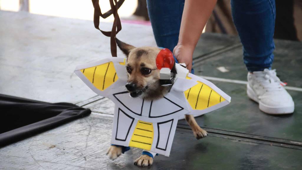 Farmascota lleva salud, bienestar y calidad a los hogares | Álex Meoño