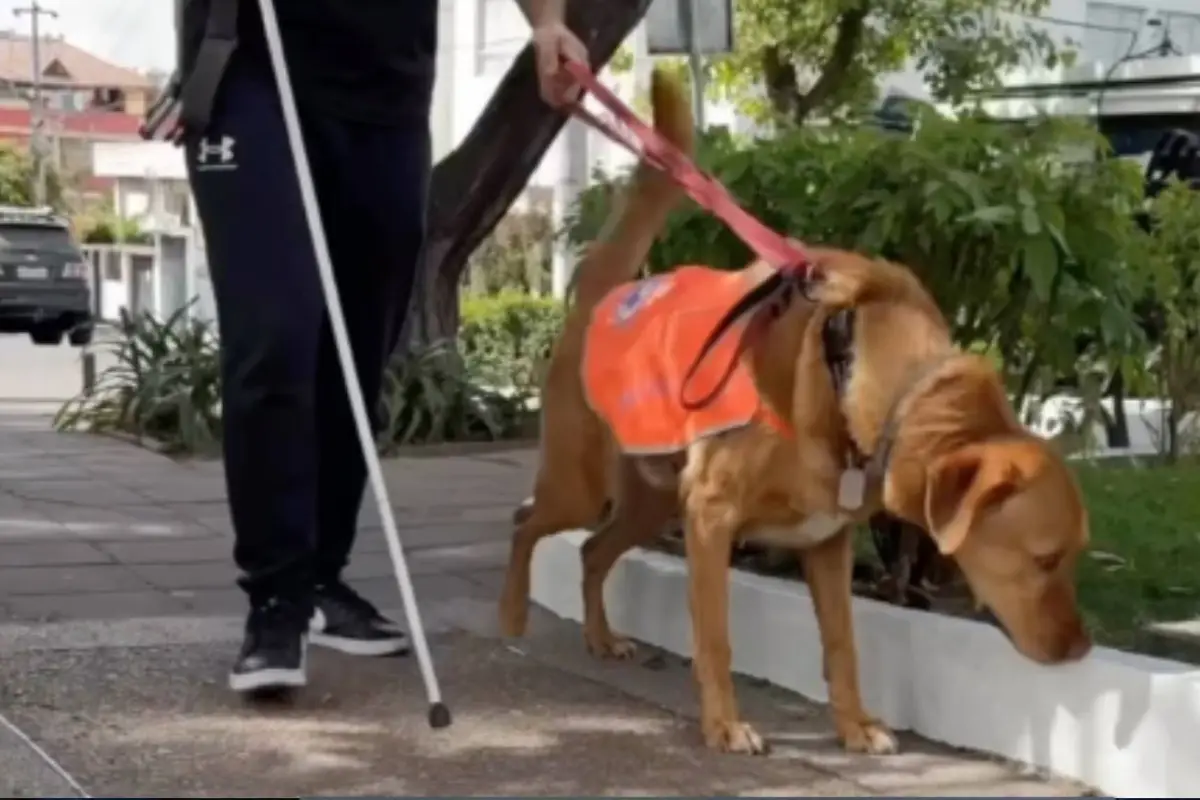 Video viral captado en Quito, Ecuador. , Captura de pantalla video Instagram.