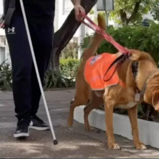 Video viral captado en Quito, Ecuador.  ,Captura de pantalla video Instagram.
