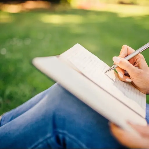 escribiendo, escritor, notas, bolígrafo, computadora portátil, libro, niña, mujer, gente, naturaleza, las manos, hierba, al aire libre ,Pixabay