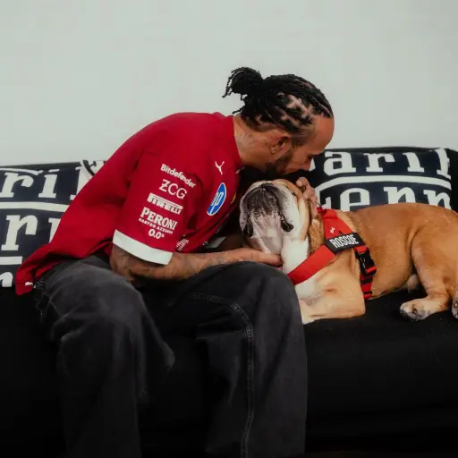 Lewis Hamilton anuncia la muerte de su perro Roscoe - instagram @roscoelovescoco
