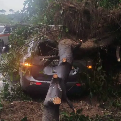 Varias emergencias fueron reportadas en Villa Canales. ,Foto PMT Villa Canales
