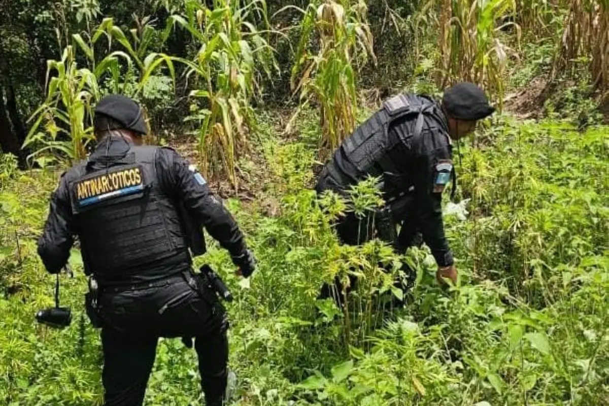 El operativo se desarrolló el pasado sabado. , PNC de Guatemala.