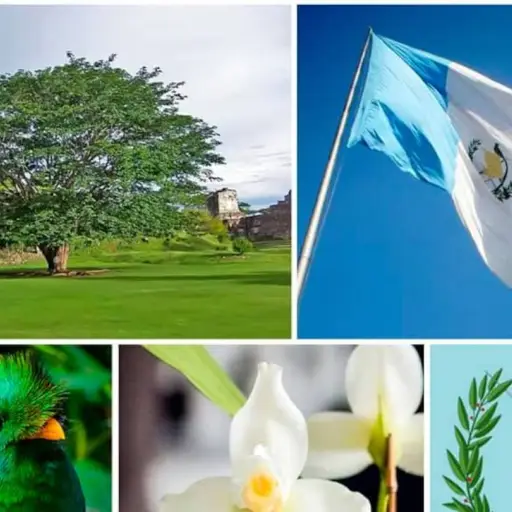 símbolos patrios ,Instagram