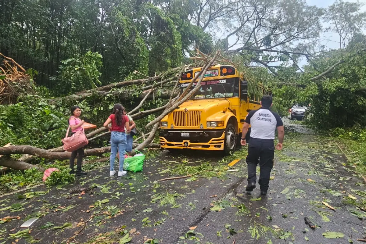Varios árboles cayeron sobre la ruta a Champerico., Foto Bomberos Voluntarios