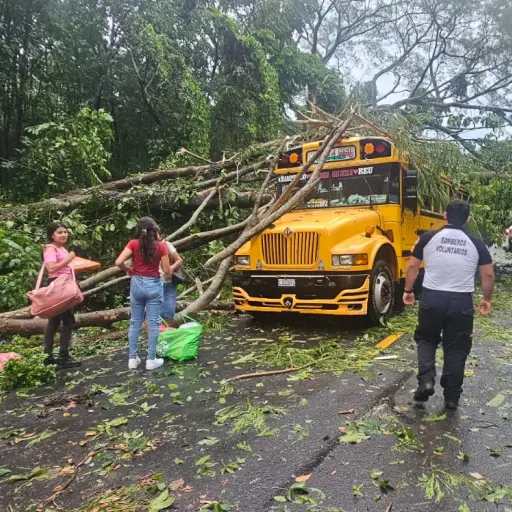 Varios árboles cayeron sobre la ruta a Champerico. ,Foto Bomberos Voluntarios
