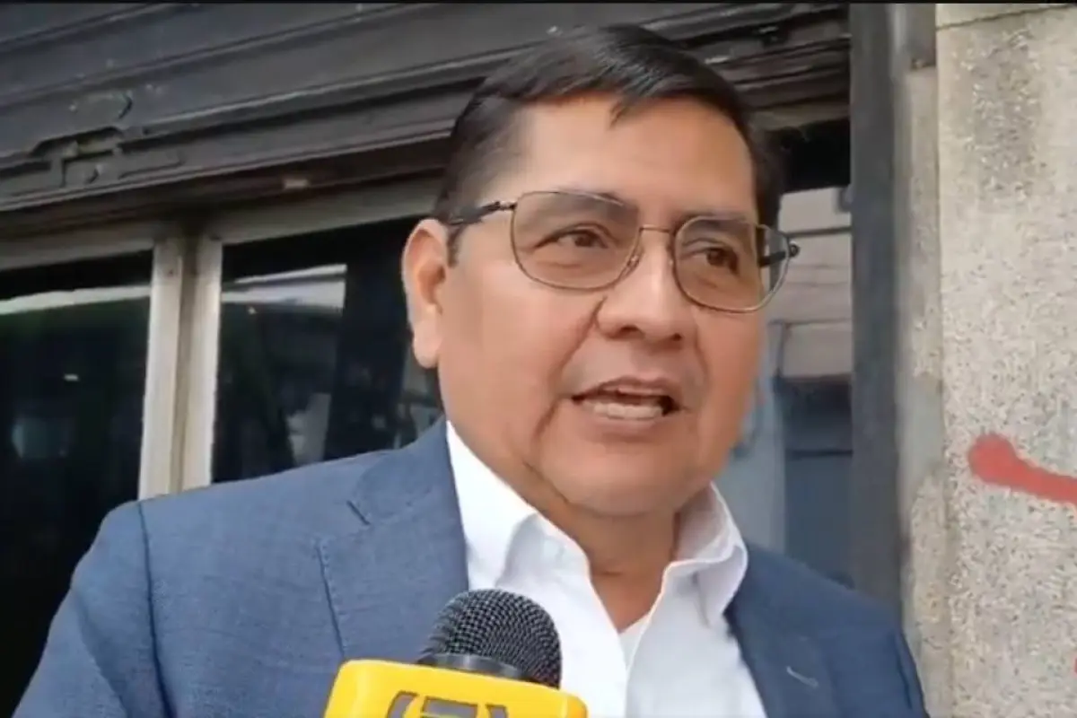 El diputado Inés Castillo., archivo: EU