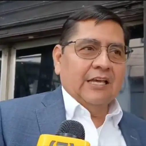 El diputado Inés Castillo. ,archivo: EU