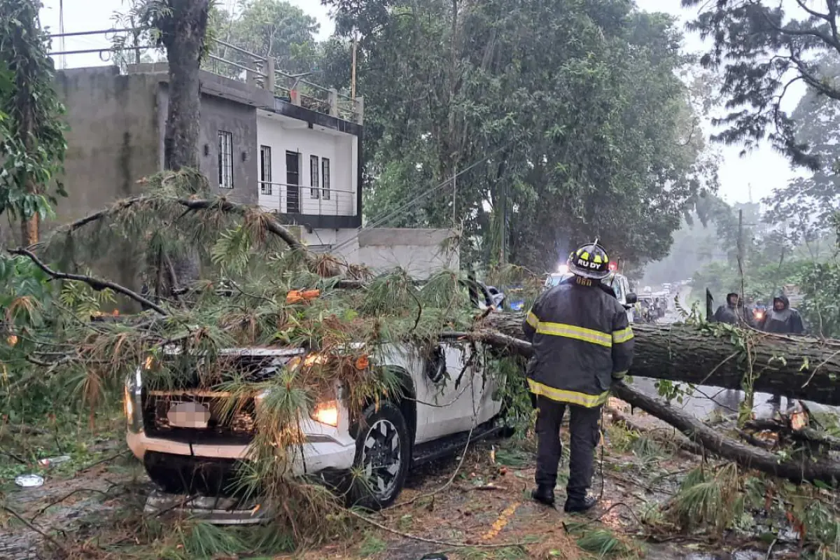 Los socorristas atendieron a una persona herida tras la caída del árbol., Bomberos Voluntarios