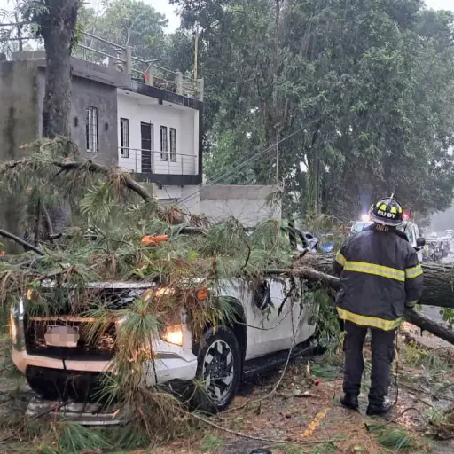Los socorristas atendieron a una persona herida tras la caída del árbol. ,Bomberos Voluntarios