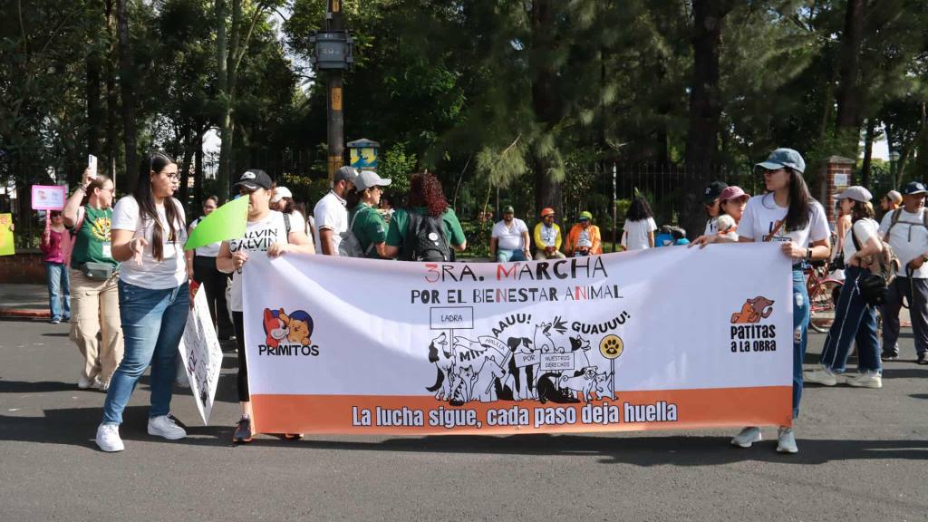Caminata llama a la protección de los animales en el país | Álex Meoño