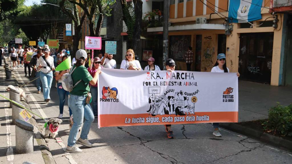 Caminata llama a la protección de los animales en el país | Álex Meoño