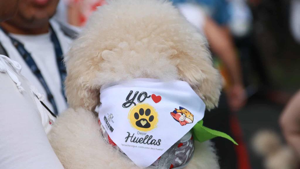 Caminata llama a la protección de los animales en el país | Álex Meoño