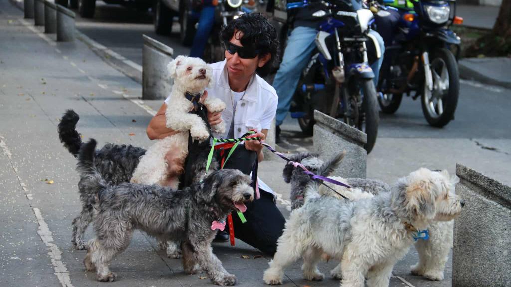 Caminata llama a la protección de los animales en el país | Álex Meoño