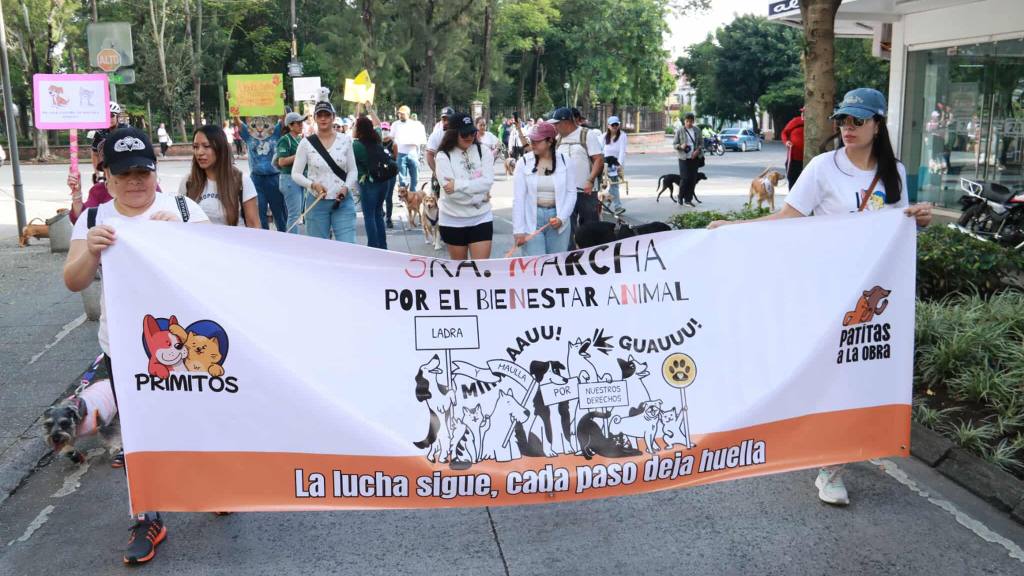 Caminata llama a la protección de los animales en el país | Álex Meoño
