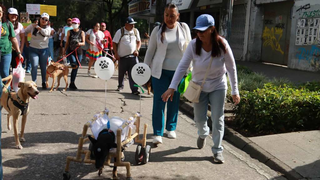 Caminata llama a la protección de los animales en el país | Álex Meoño
