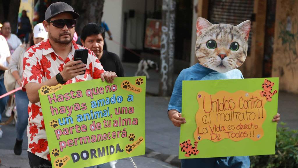 Caminata llama a la protección de los animales en el país | Álex Meoño