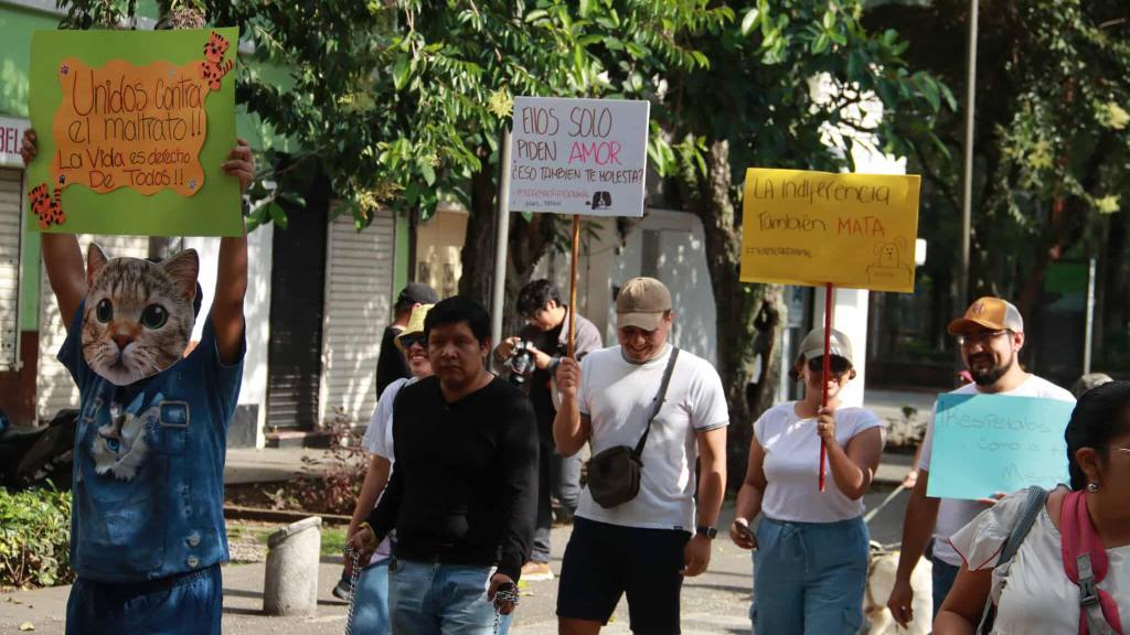 Caminata llama a la protección de los animales en el país | Álex Meoño