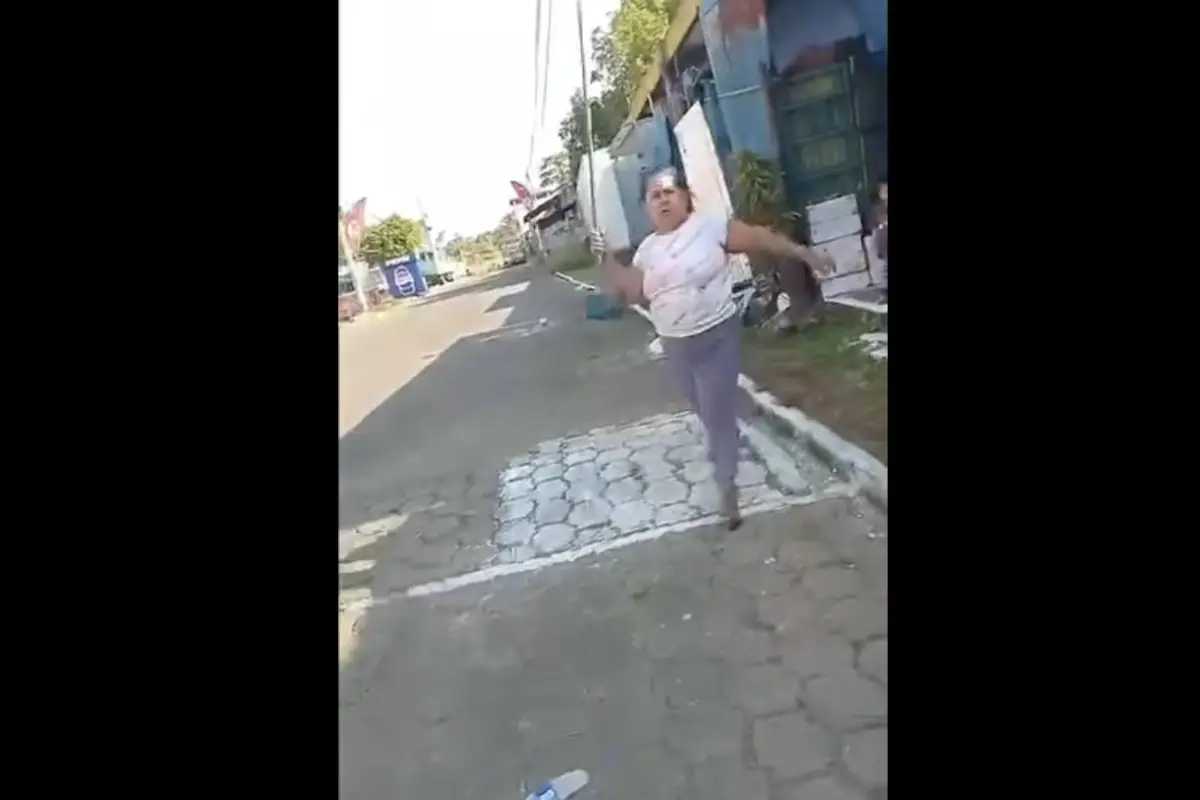 María Elena Pérez fue captada tras la agresión a una mujer y su hija de un año. , Captura de pantalla