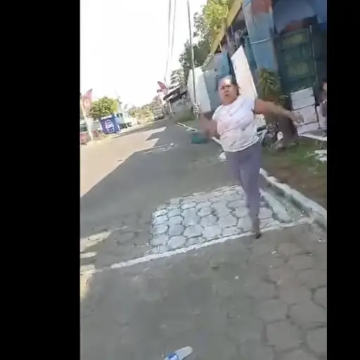 María Elena Pérez fue captada tras la agresión a una mujer y su hija de un año.  ,Captura de pantalla