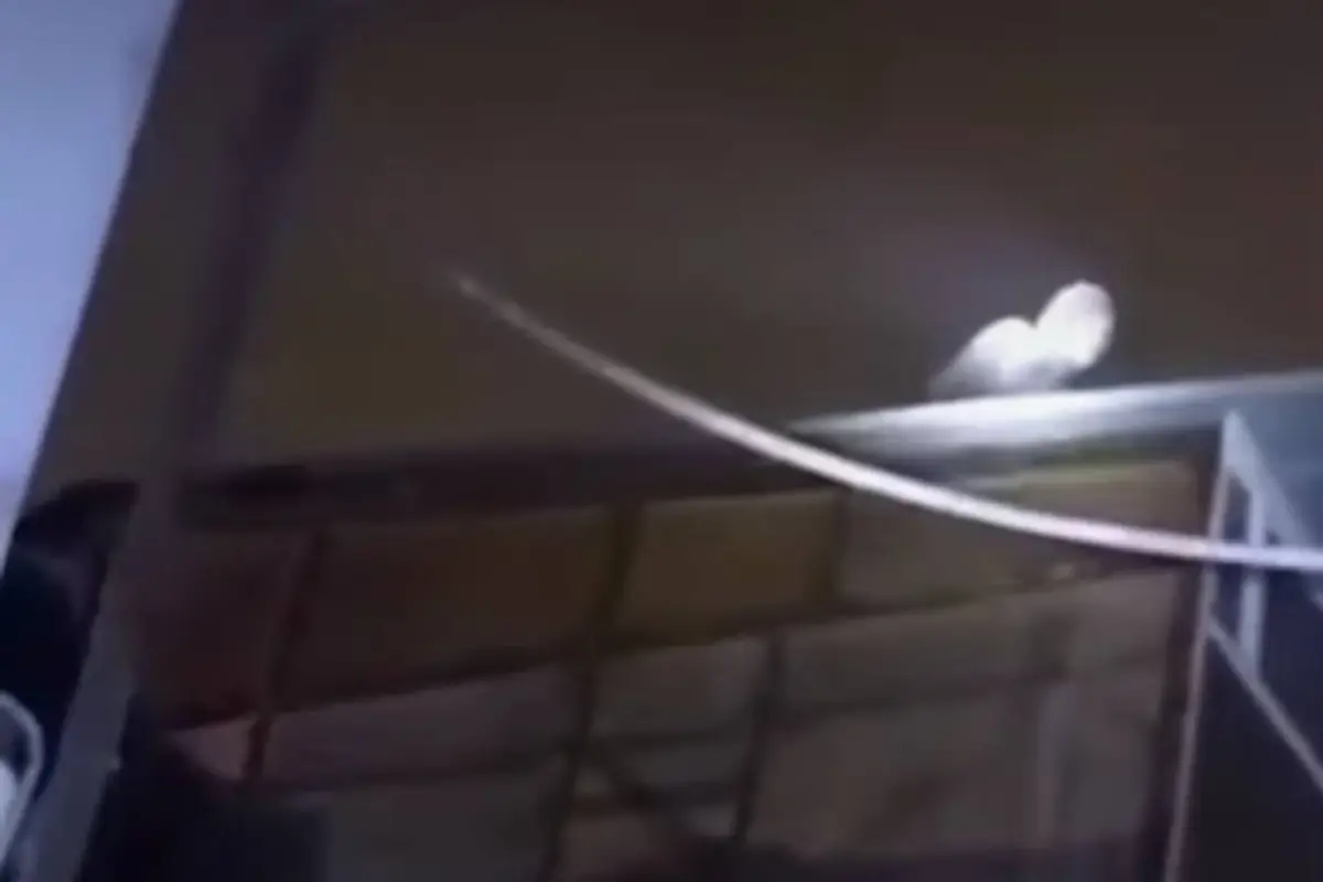 Ladrón queda herido. , Captura de pantalla video Facebook.