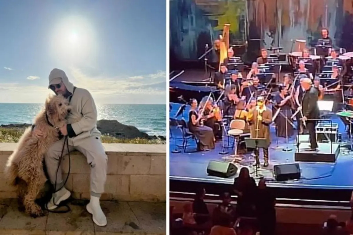 David D´or, Redes sociales