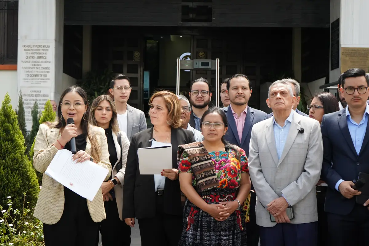 Al menos cincor organizaciones presentaron la acción en la Corte de Constitucionalidad. , Cortesía