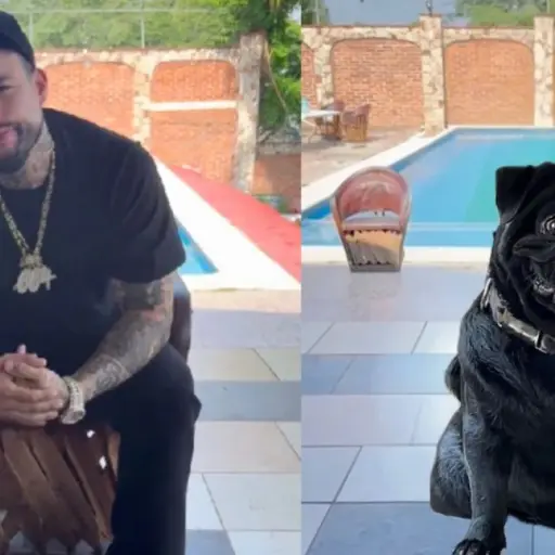 Emiliano Aguilar ,Redes sociales