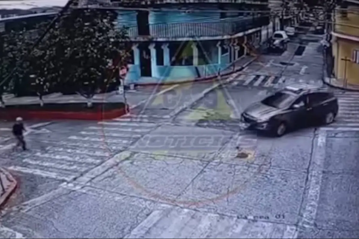 Automovilista arrolla a perro. , Captura de pantalla video X.