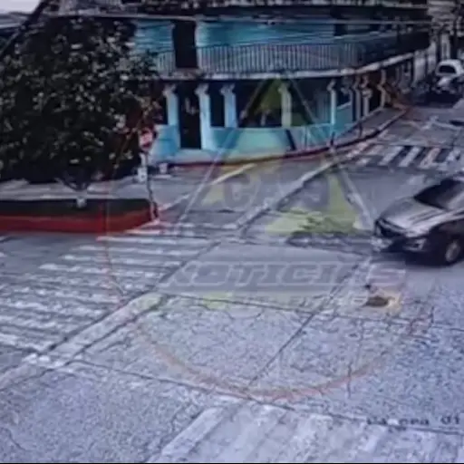 Automovilista arrolla a perro.  ,Captura de pantalla video X.