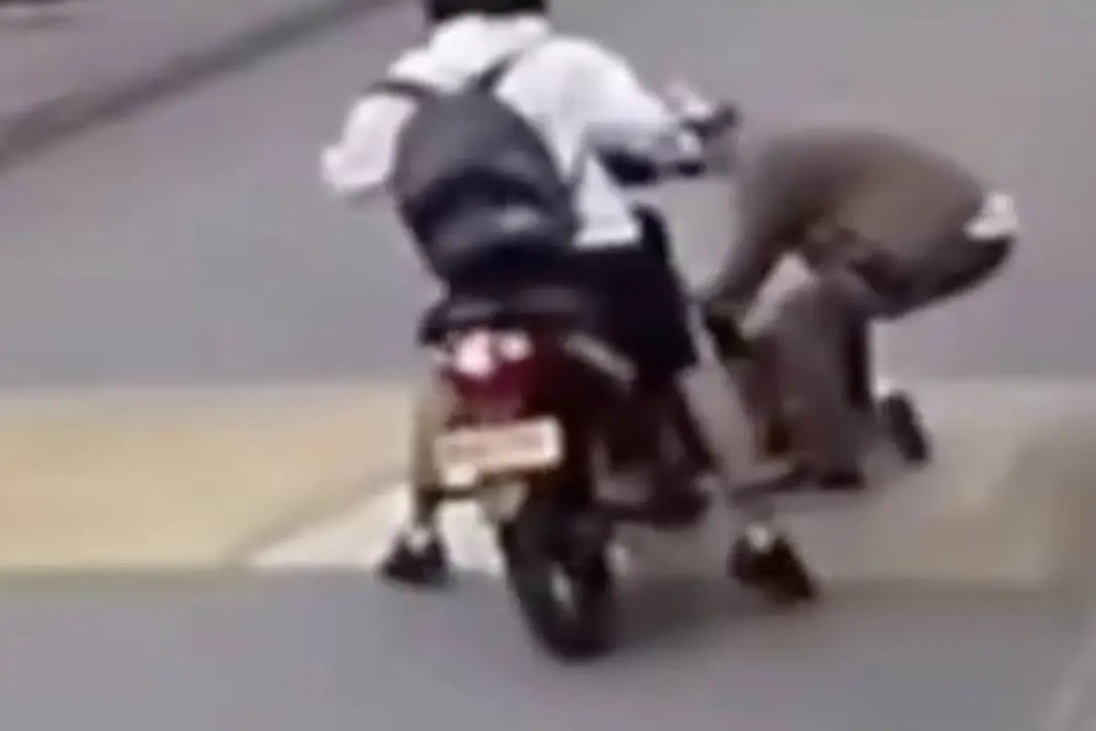 Motociclista atropelló a niño. , Captura de pantalla video X.
