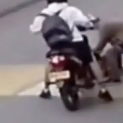 Motociclista atropelló a niño.  ,Captura de pantalla video X.