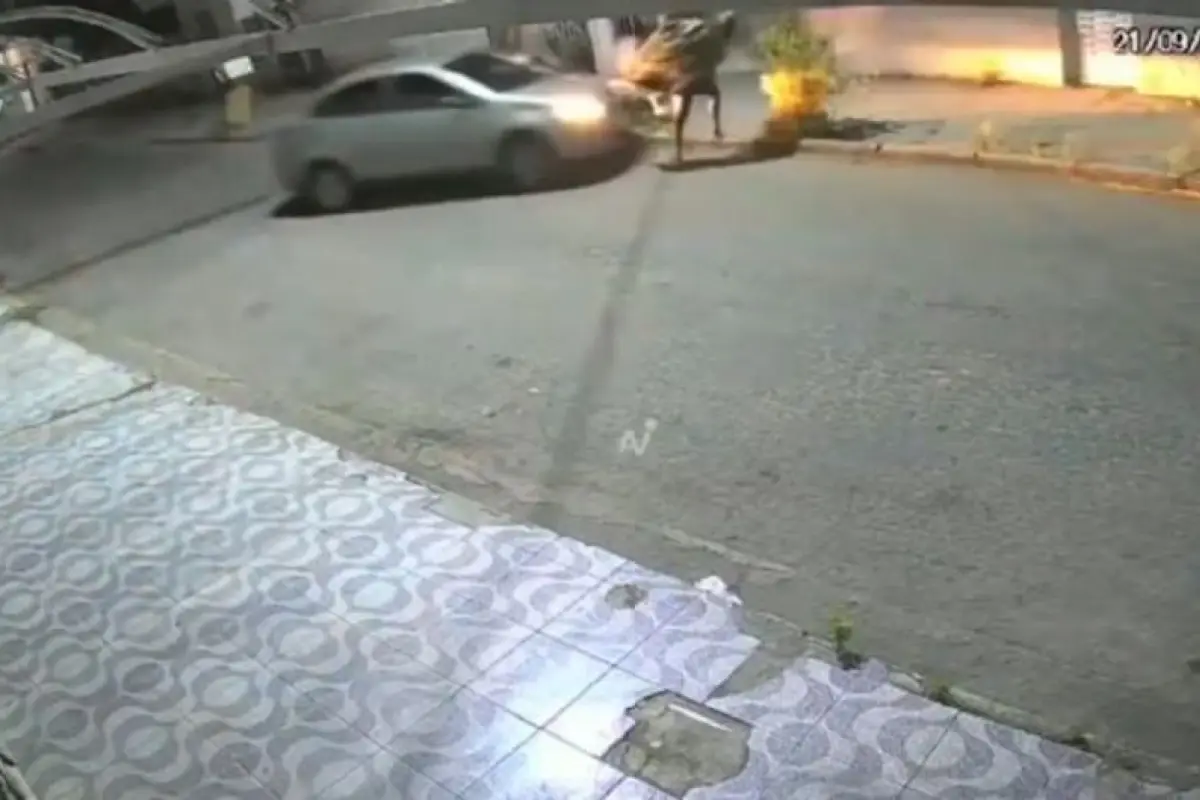  Conductor que atropelló a asaltantes. , Captura de pantalla video X.