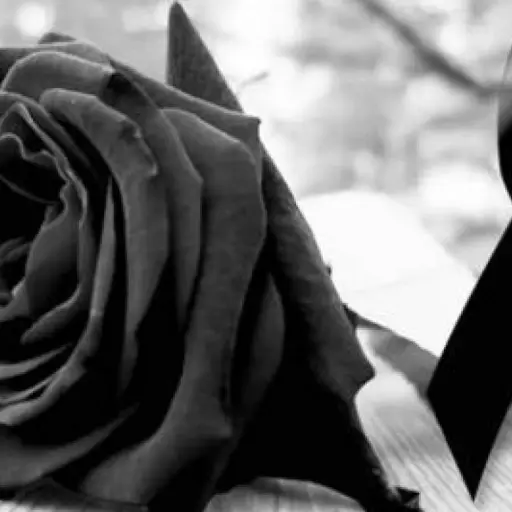 Influencer ,Influencer