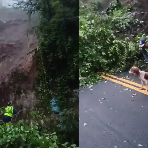 PMT rescata a perro tras el derrumbe sobre la avenida Hincapié. ,Captura de pantalla video Facebook.