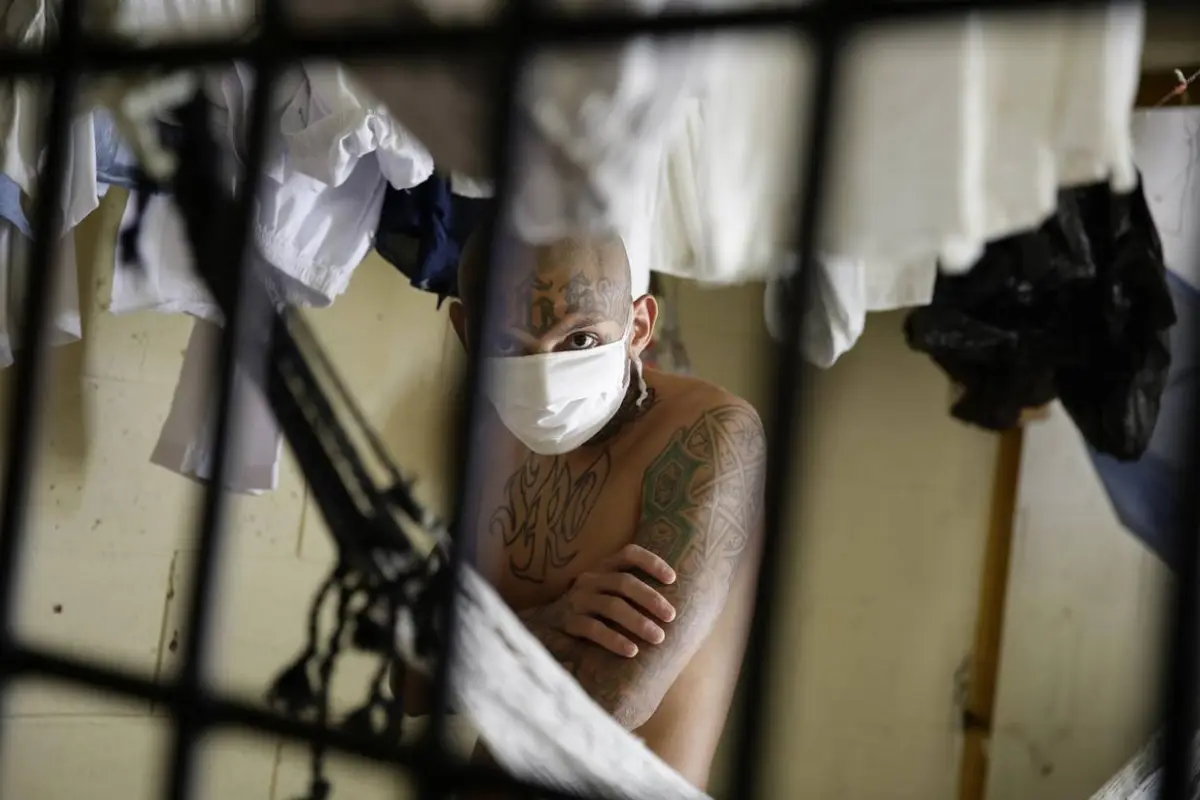 Imagen ilustrativa, de archivo: EU