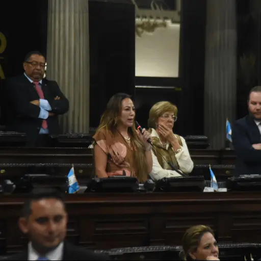 La diputada Nadia de León presentó la moción en el Congreso. ,Foto Omar Solís