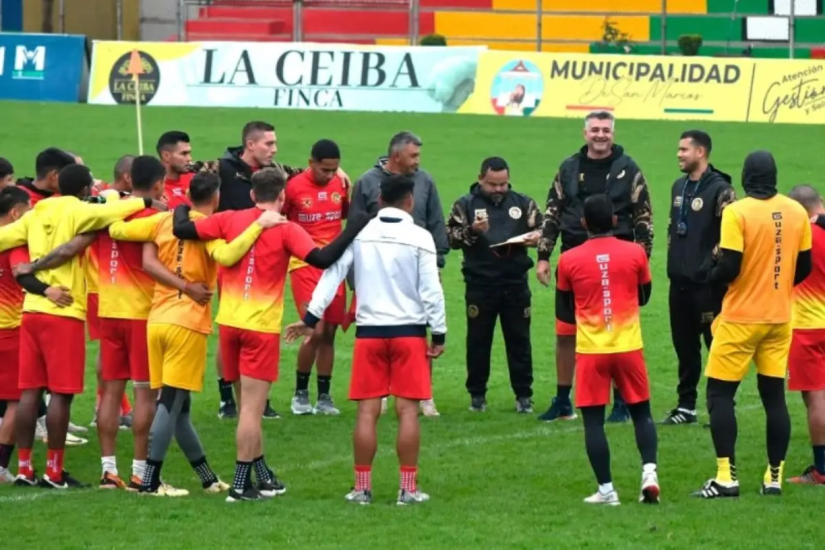 Los "Leones Amarillos" siguen trabajando en el estadio Marquesa de la Ensenada
