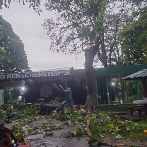 En Mazatenango se registró la caída de árboles.  ,Foto Conred