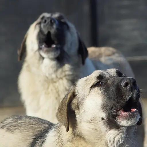 Imagen con fines ilustrativos.  ,Pixabay