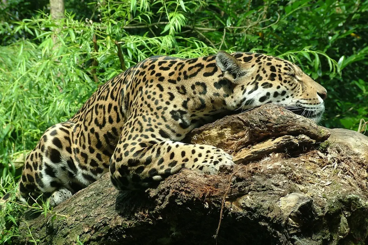 Imagen con fines ilustrativos.