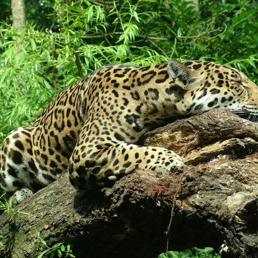 Imagen con fines ilustrativos.