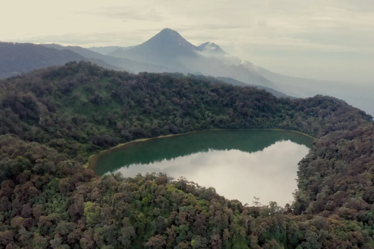 True Guatemala, Redes sociales