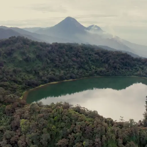 True Guatemala ,Redes sociales