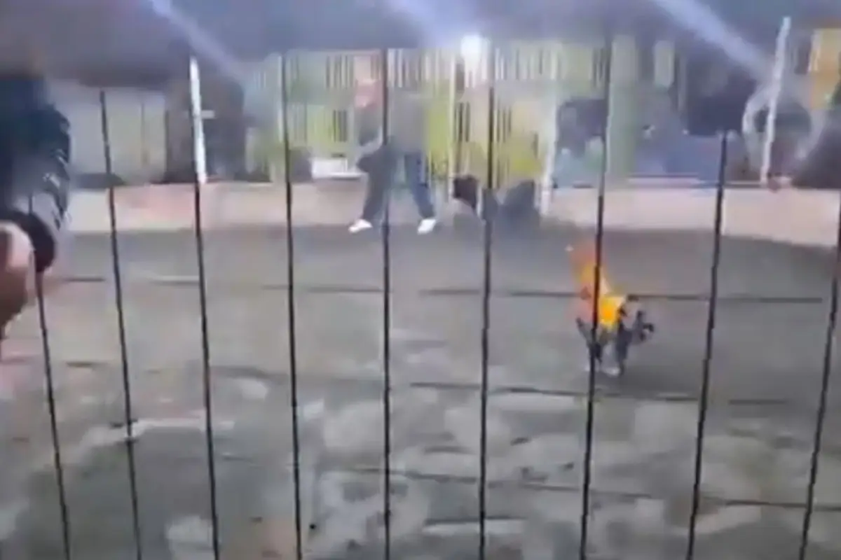 Pelas de gallos clandestinas. , Captura de pantalla video Facebook.