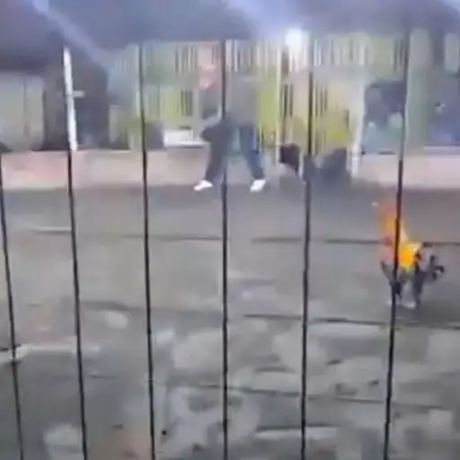 Pelas de gallos clandestinas.  ,Captura de pantalla video Facebook.