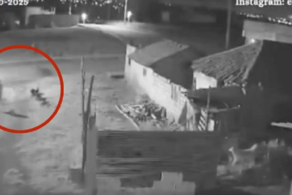 Supuesto niño fantasma., Captura de pantalla video X.